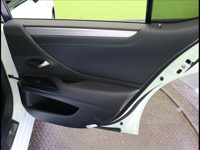 LEXUS ES300h