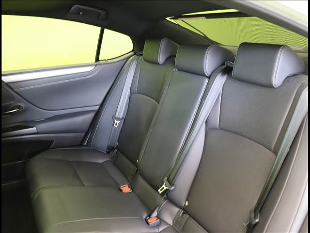 LEXUS ES300h