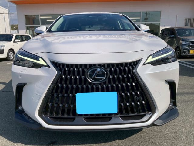 LEXUS NX350h AWD