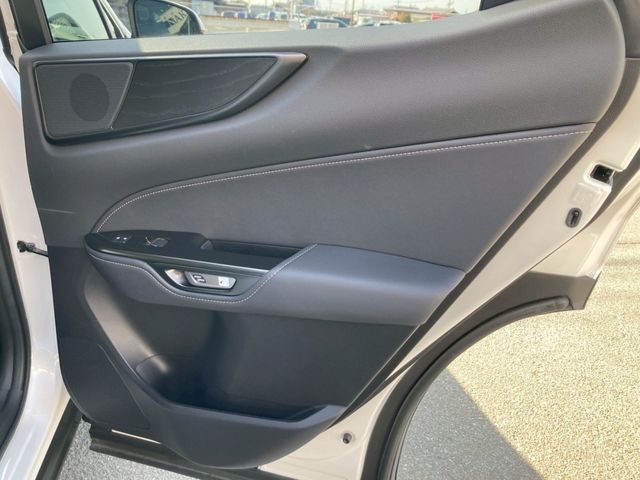 LEXUS NX350h AWD