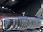BUICK PARK ABENUE