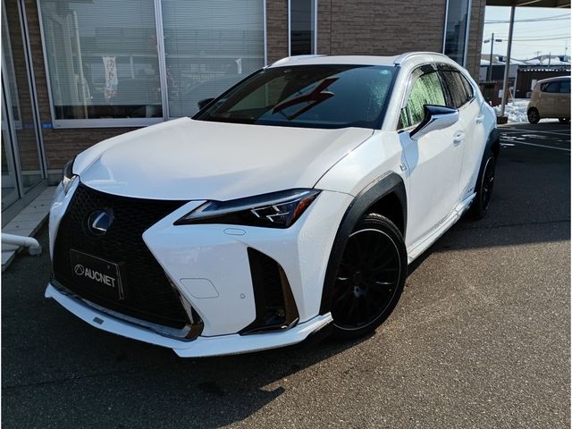 LEXUS UX250h AWD