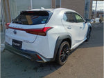 LEXUS UX250h AWD