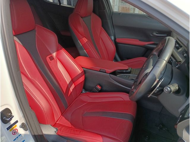 LEXUS UX250h AWD