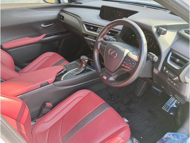 LEXUS UX250h AWD