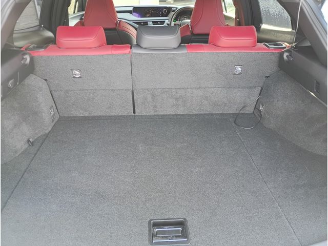 LEXUS UX250h AWD