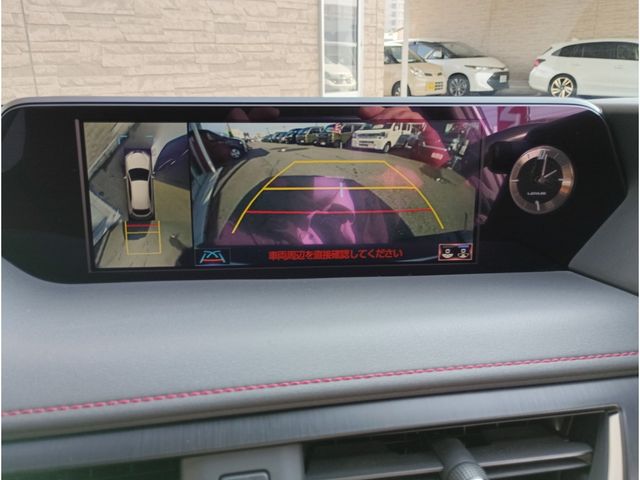 LEXUS UX250h AWD