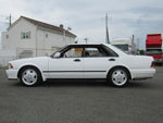 CEDRIC hardtop