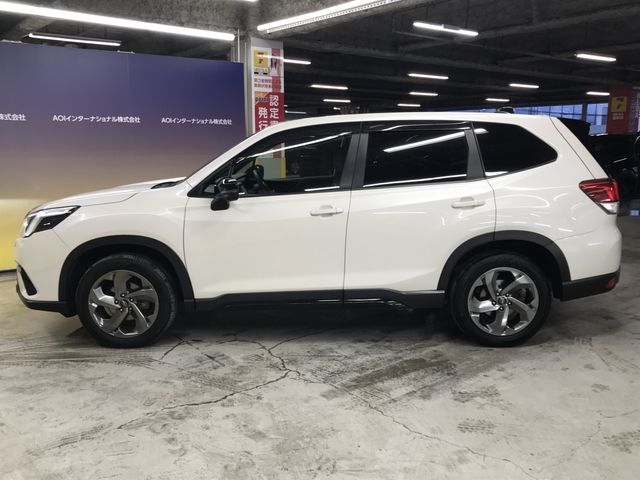 FORESTER