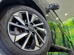 SERENA  S-HYBRID