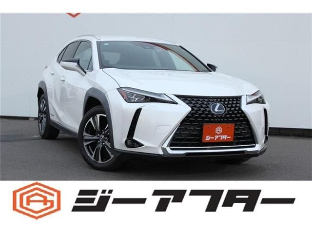 LEXUS UX250h