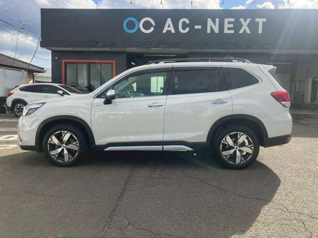 FORESTER
