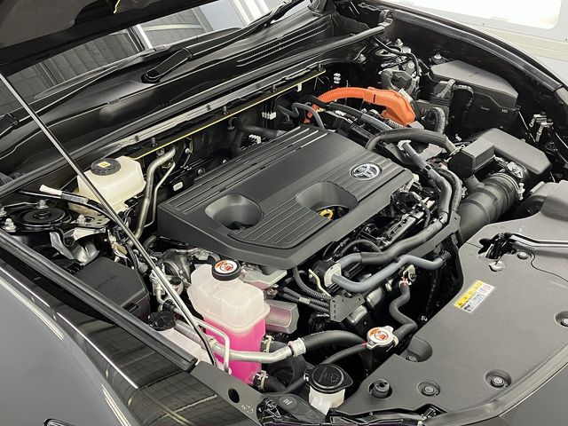 CROWN SPORT