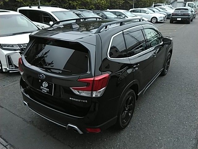 FORESTER