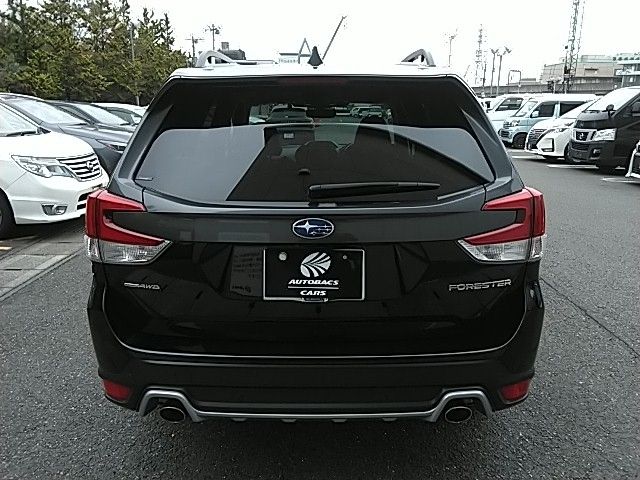 FORESTER