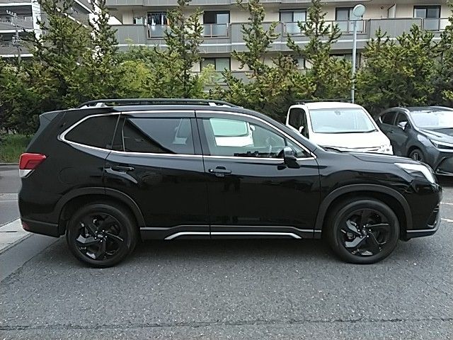 FORESTER