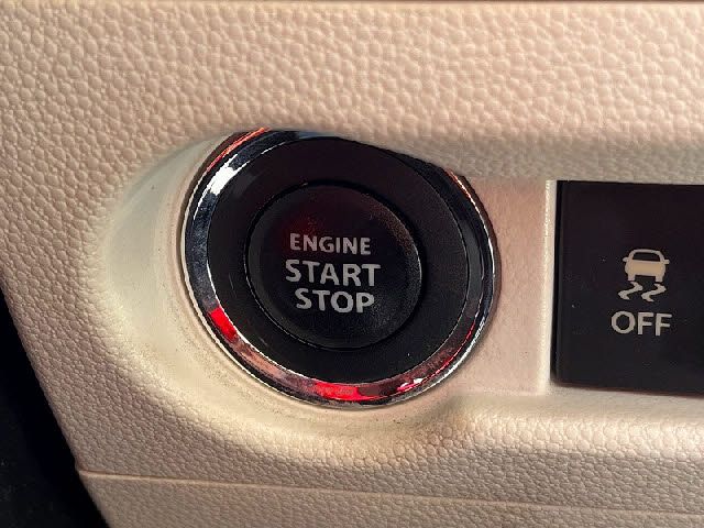 IGNIS