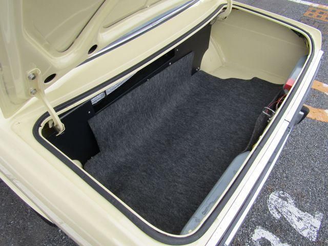 BLUEBIRD coupe