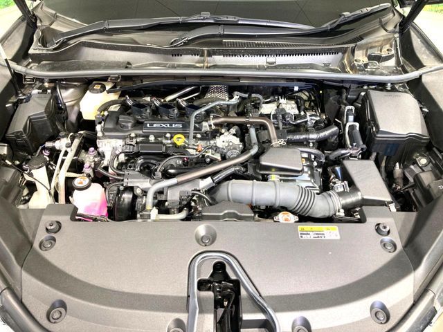 LEXUS LBX