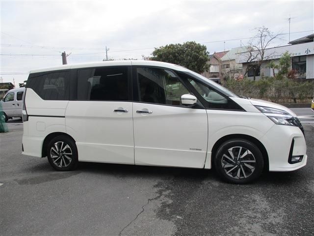 SERENA  S-HYBRID