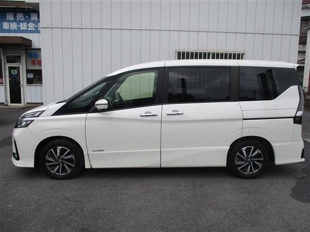 SERENA  S-HYBRID