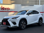 LEXUS NX300