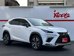 LEXUS NX300