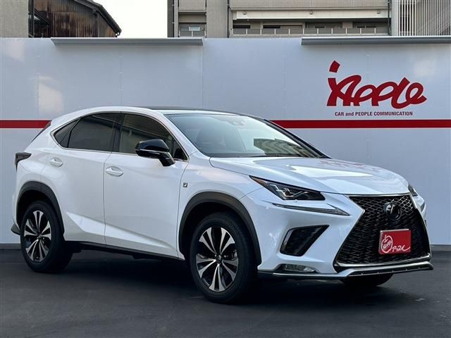 LEXUS NX300
