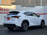 LEXUS NX300