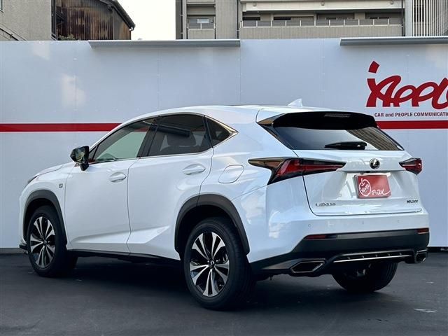 LEXUS NX300