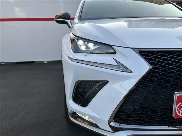LEXUS NX300