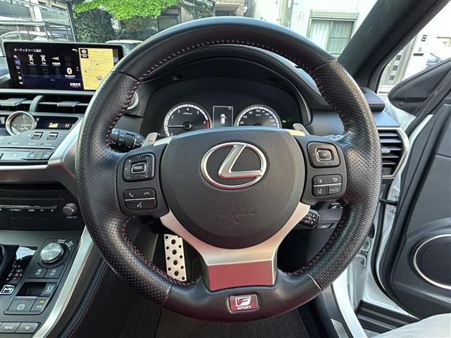 LEXUS NX300