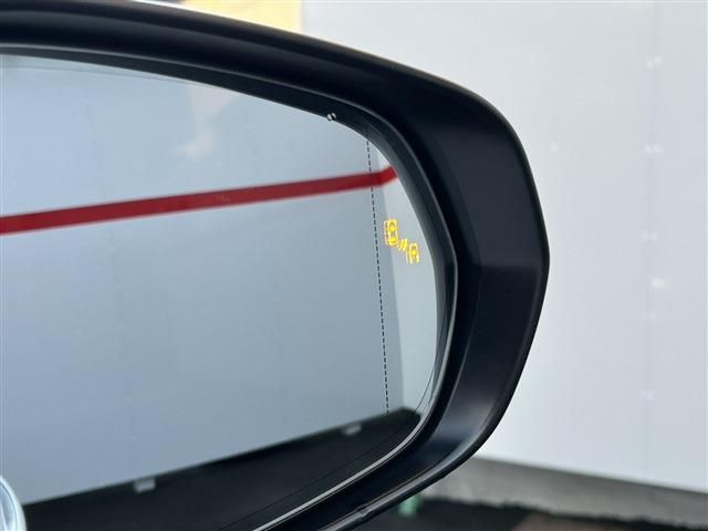 LEXUS NX300