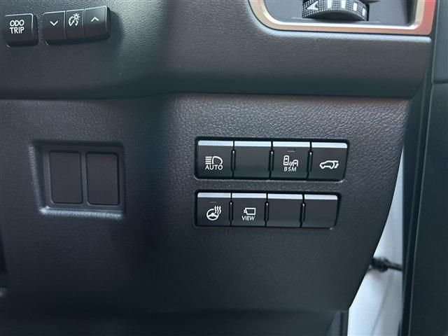 LEXUS NX300