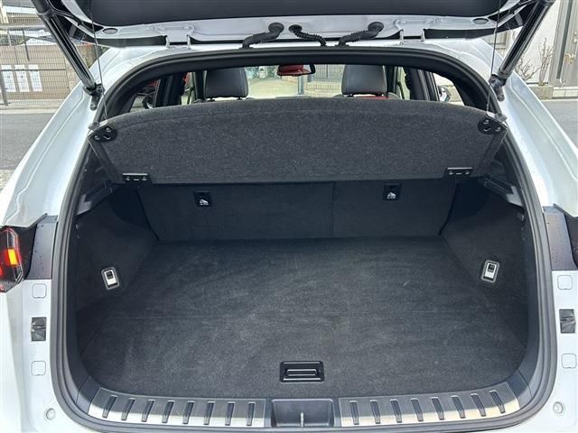 LEXUS NX300