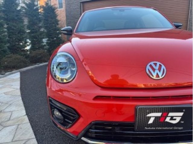 VOLKSWAGEN The BEETLE