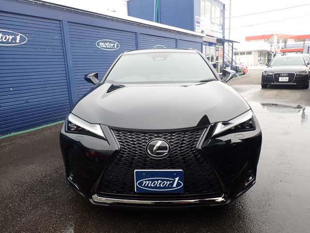 LEXUS UX300h