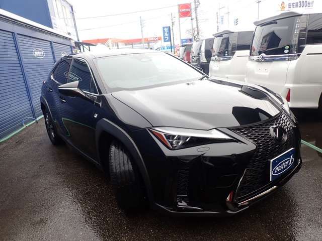 LEXUS UX300h