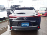 LEXUS UX300h