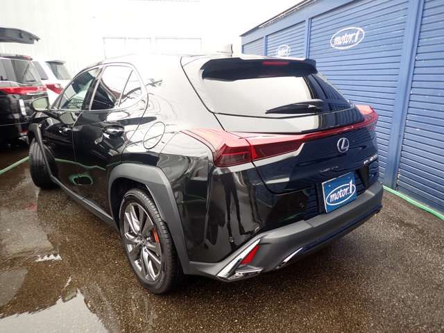 LEXUS UX300h