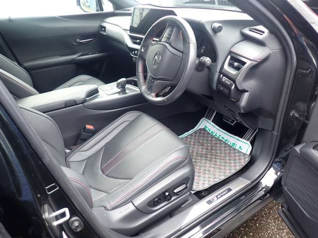 LEXUS UX300h