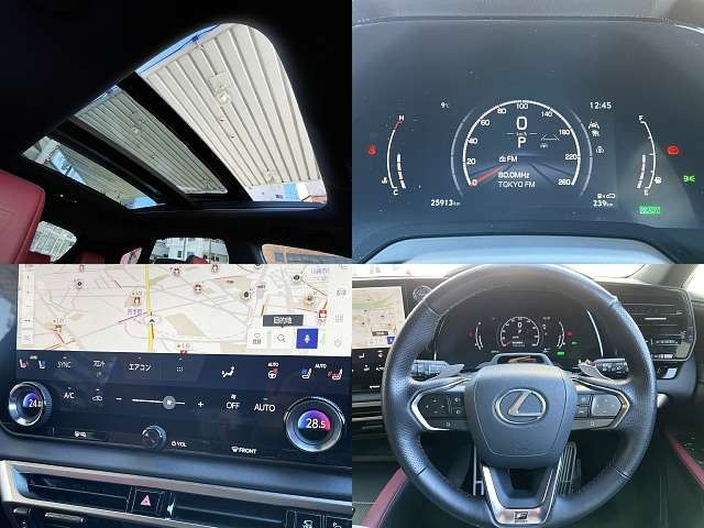 LEXUS RX500h