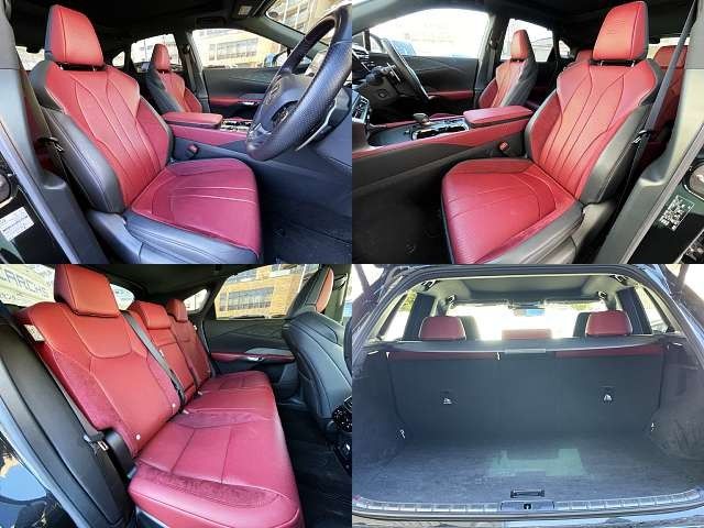 LEXUS RX500h