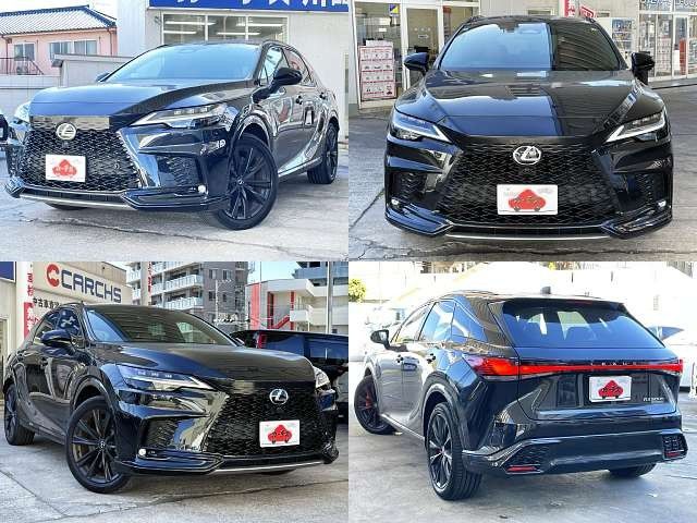 LEXUS RX500h