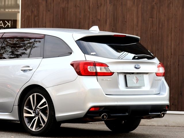 LEVORG