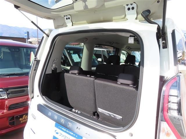SERENA S-HYBRID