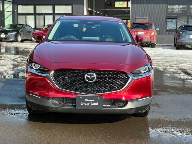 CX-30