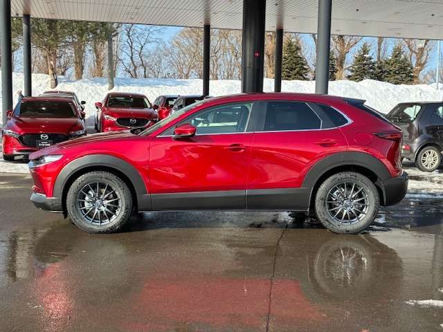 CX-30