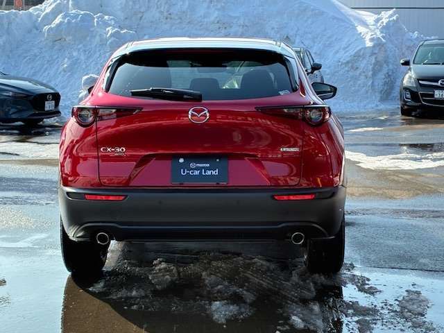 CX-30