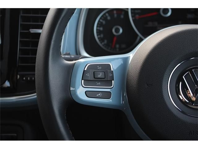 VOLKSWAGEN The BEETLE